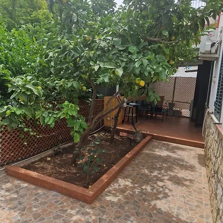 Vito's House Appartement *